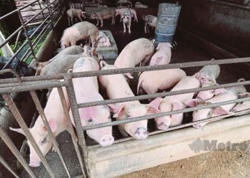 Dr. Nirwandy Pakar Perang Saraf